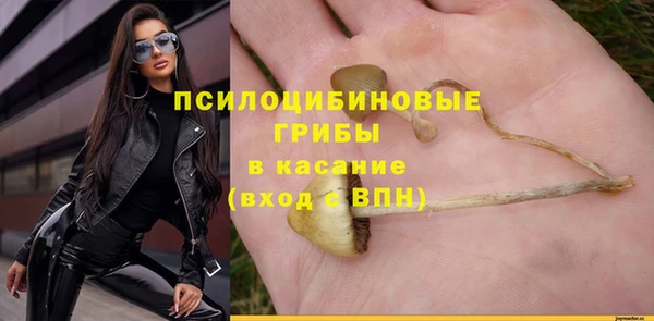дмт Нягань