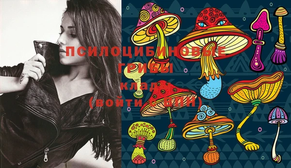 MDMA Нязепетровск