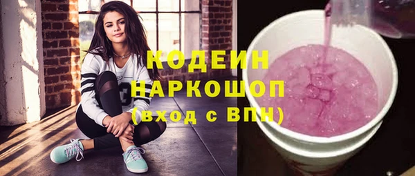 первитин Няндома