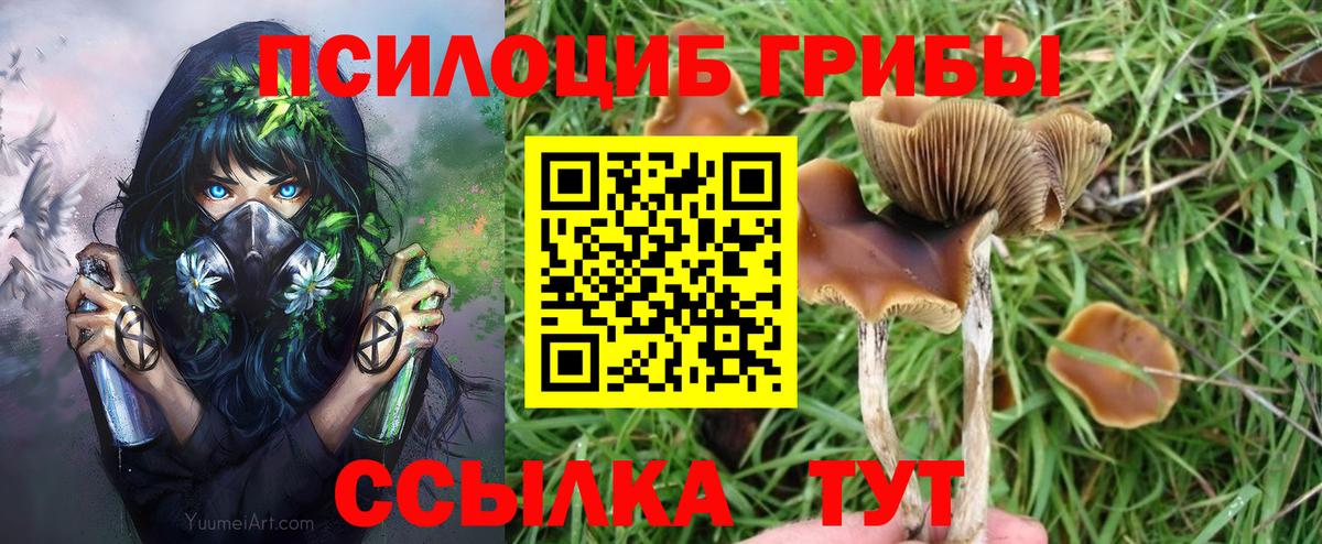 Галлюциногенные грибы GOLDEN TEACHER Богородицк