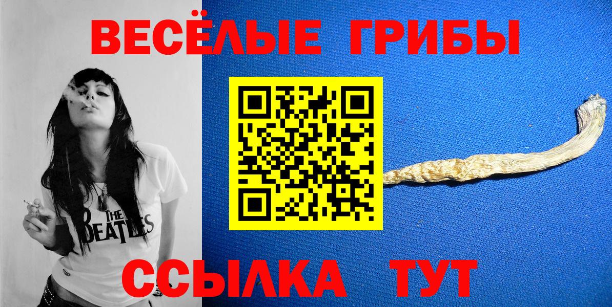 Галлюциногенные грибы Psilocybe  где продают   Богородицк 